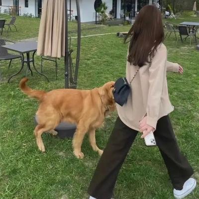 乌都残垣